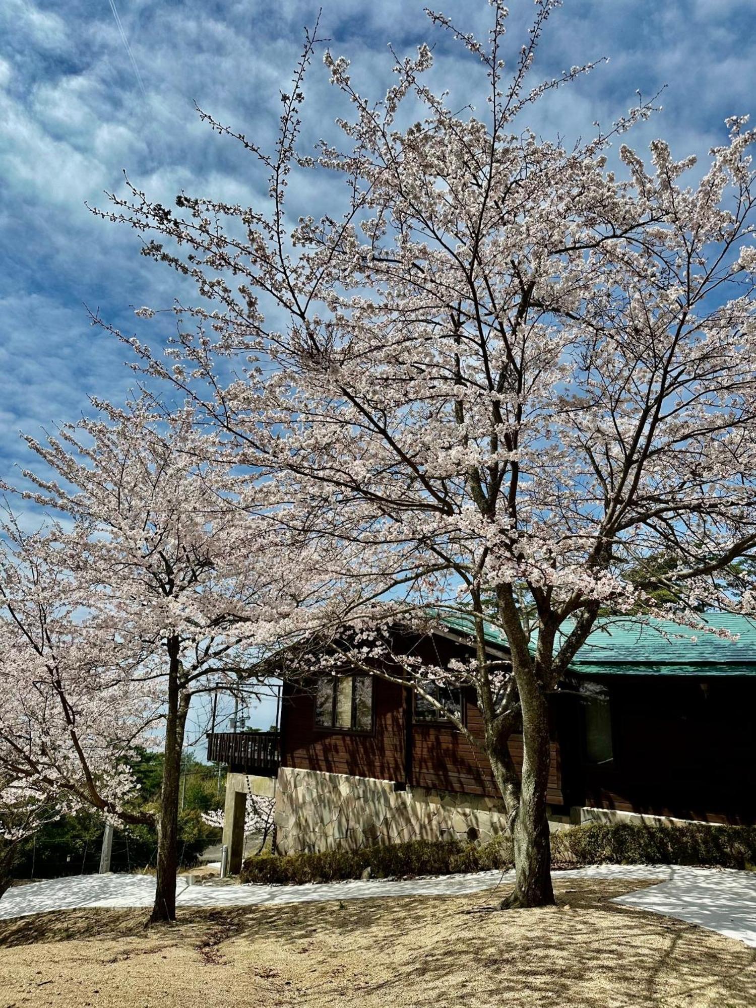 小豆島プライベートキャンプサイト Villa Shodoshima Ngoại thất bức ảnh